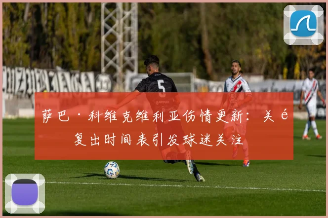 萨巴·科维克维利亚伤情更新：关键复出时间表引发球迷关注